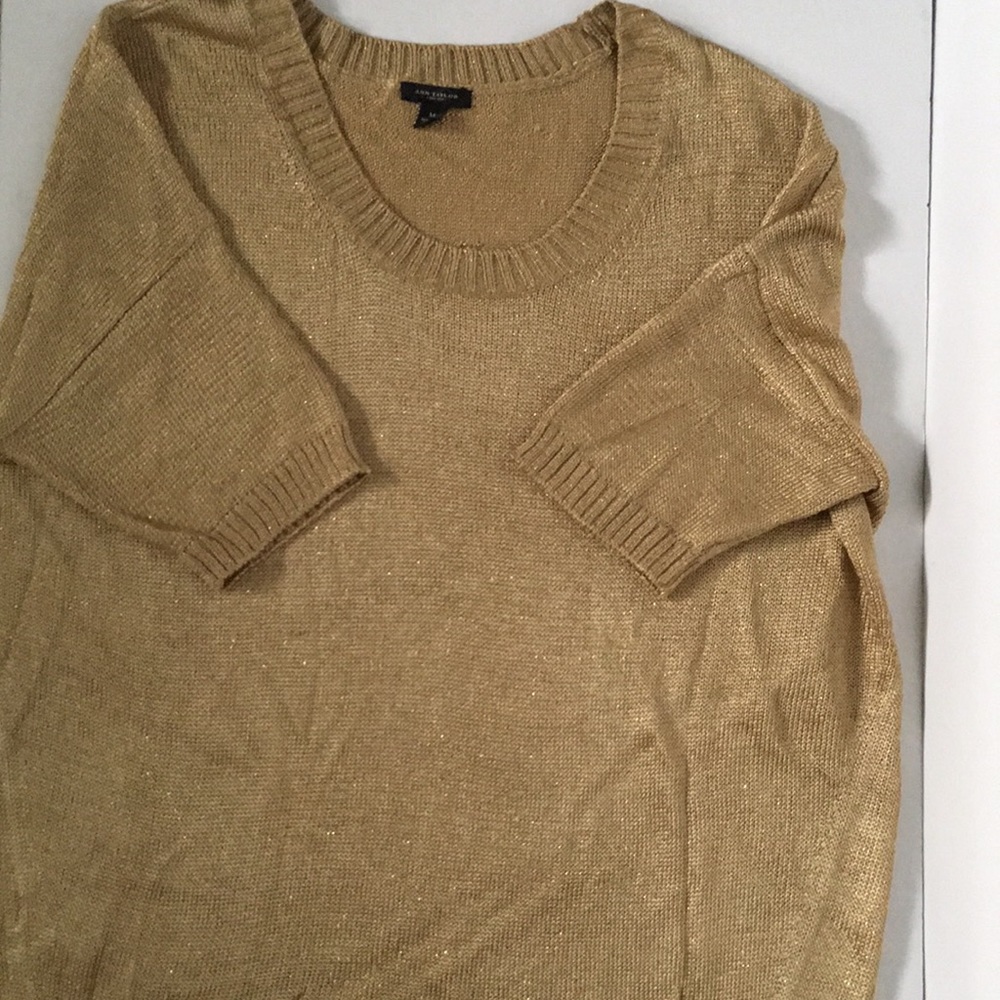 Ann Taylor metallic top